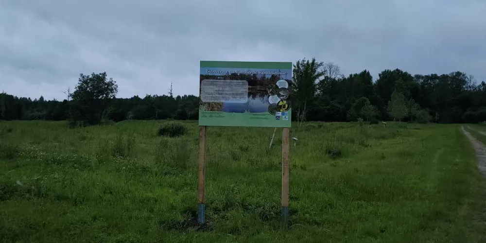Installation de panneaux pédagogiques en zones humides