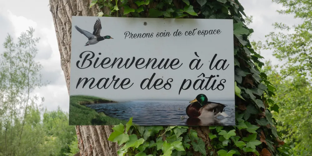 Fête de l’Art’bre 2025