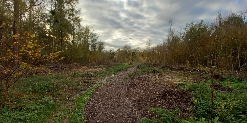 Travaux de restauration écologique de la zone humide de Laversines