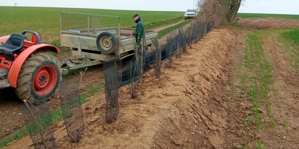 Travaux de réduction de l'érosion par ruissellement sur la commune d'Escames