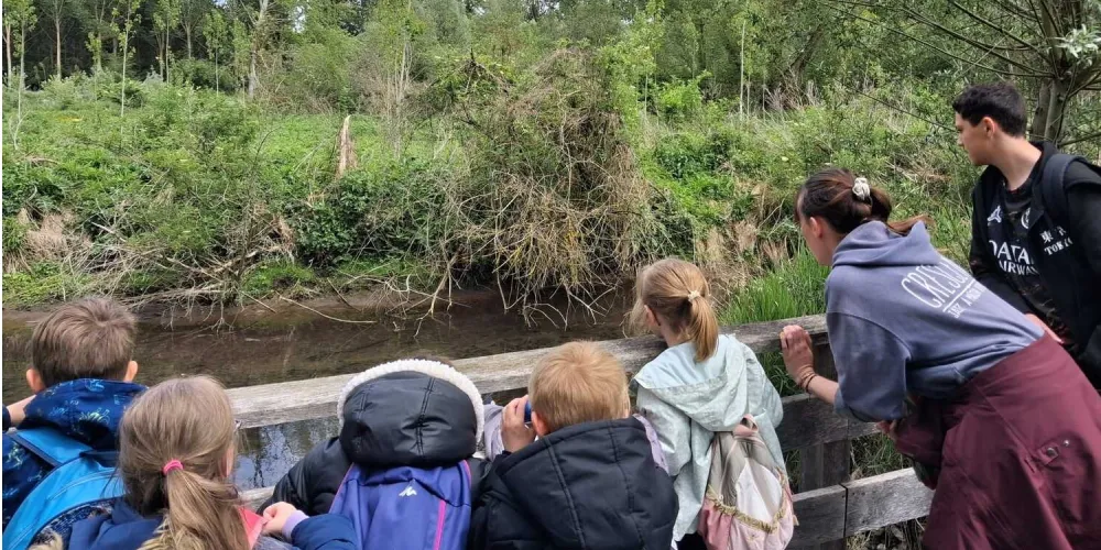 Animation Parcours Super Espèces - Marais de Bresles