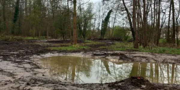 visuel LES ZONES HUMIDES SE REFONT UNE BEAUTE