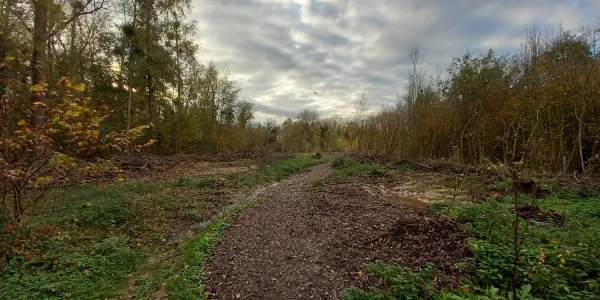 visuel Travaux de restauration écologique de la zone humide de Laversines