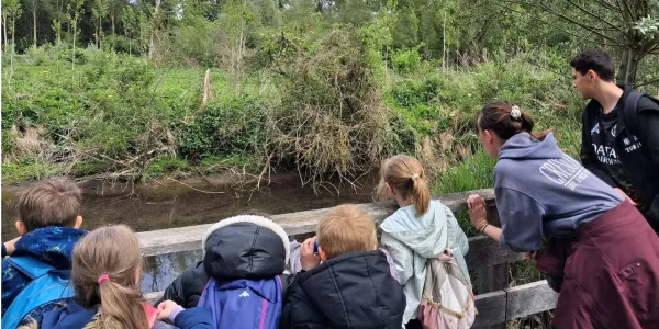 visuel Animation Parcours Super Espèces - Marais de Bresles