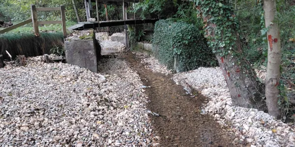 visuel Travaux de restauration de la rivière l'Avelon à Blacourt