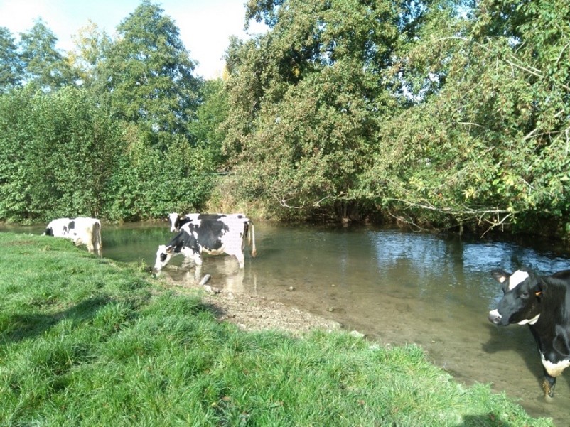 Photo du Thérain amont à Milly sur Thérain
