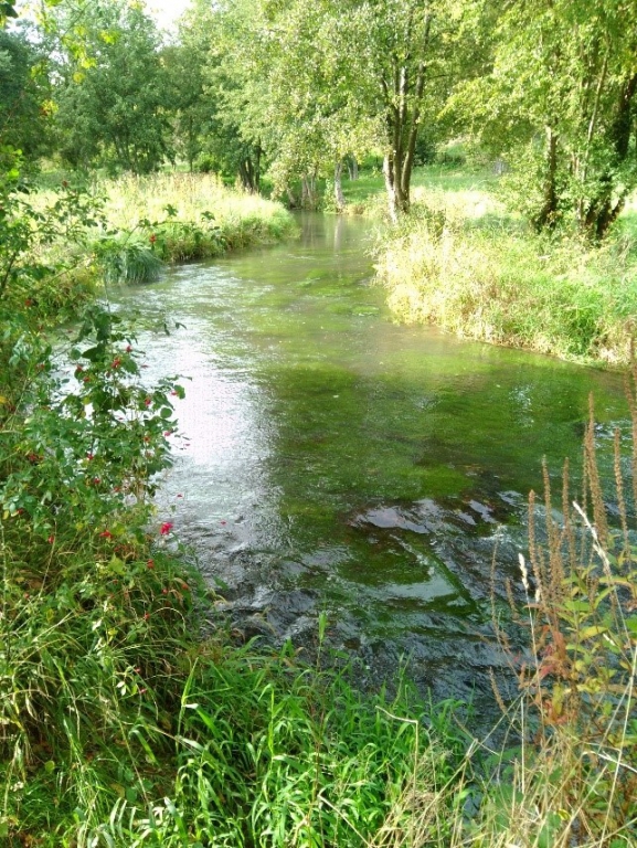 Le Thérain amont Bonnières