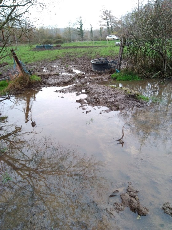 Photo de l'Avelon à sa source