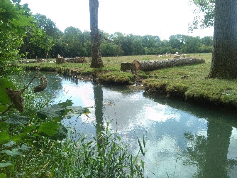 Le petit Thérain à Milly sur Thérain